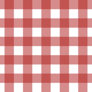Gingham Red