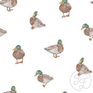 Cute Ducks
