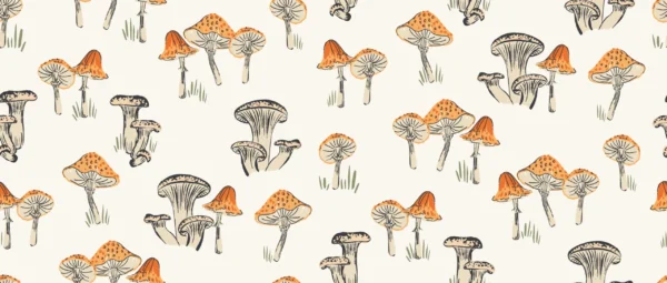 Little Mushroom Cream Orange