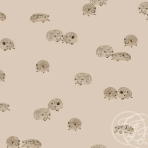 Hedgehog Brazilian Sand