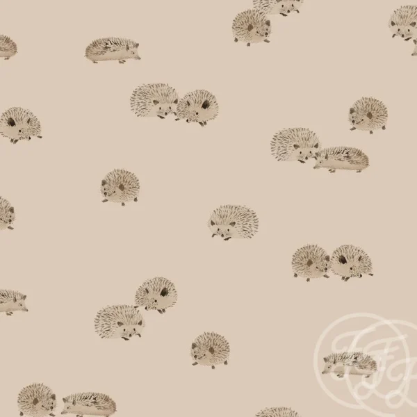 Hedgehog Brazilian Sand