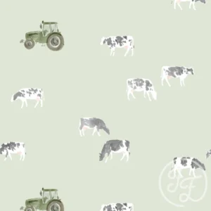 Cows Sage