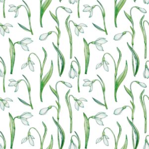 Snowdrops Garden White