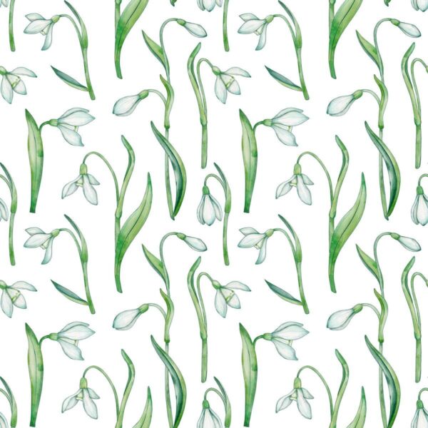 Snowdrops Garden White