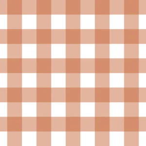 Gingham Terracota