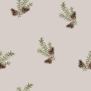Fir Branches