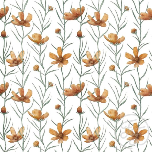 Orange Dancing Flowers