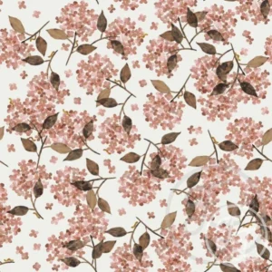 Hortensia Rosy