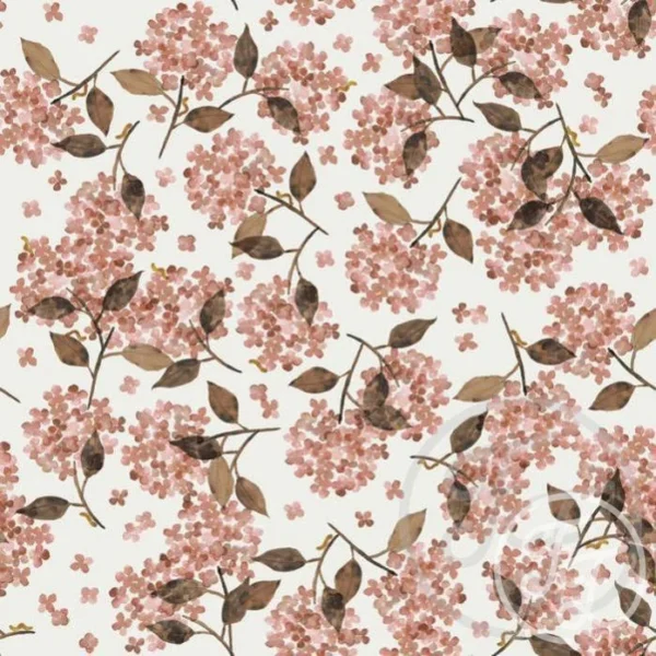 Hortensia Rosy
