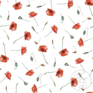 Red Poppy Flowers