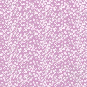 Snow in Summer Purple