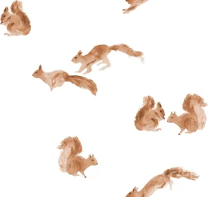 Squirrels Off White