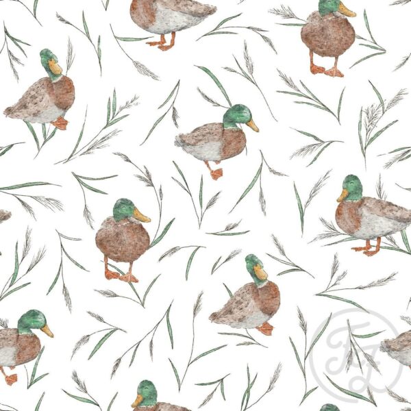 Walking Ducks