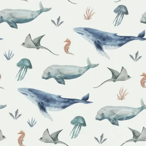 Deep Sea Life