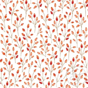 Rosehip Forest White