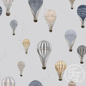 Hot Air Balloons Sky