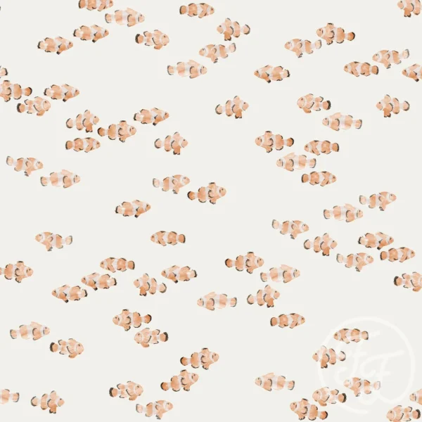 Clown Fish
