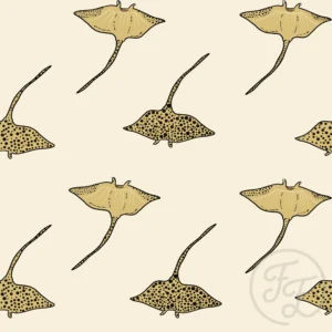 Stingray