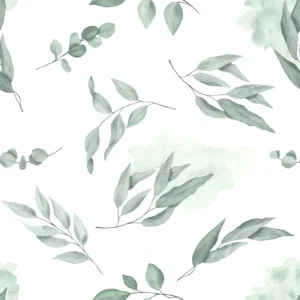 Eucalyptus Branches
