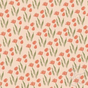 Tulip Flower in Peach Puff