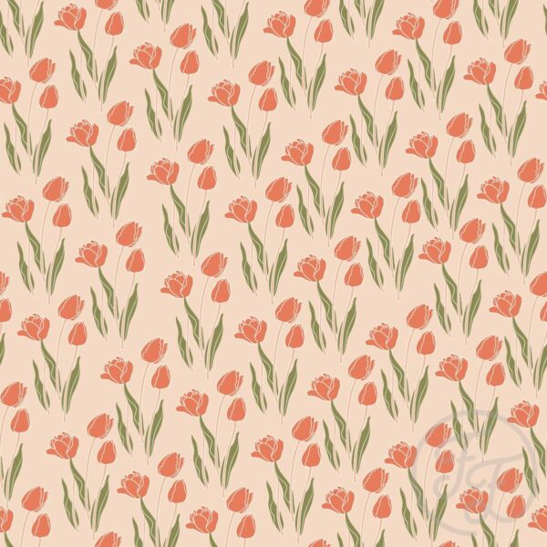 Tulip Flower in Peach Puff