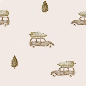 Christmas Cars