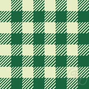 Gingham stripes in Jewel
