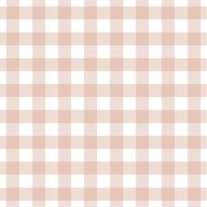Gingham Claypink