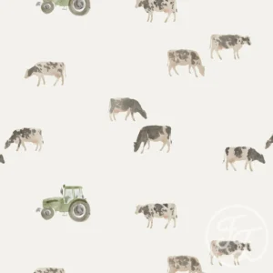 Cows