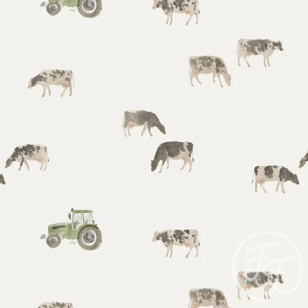 Cows