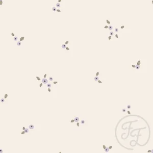 Blueberries