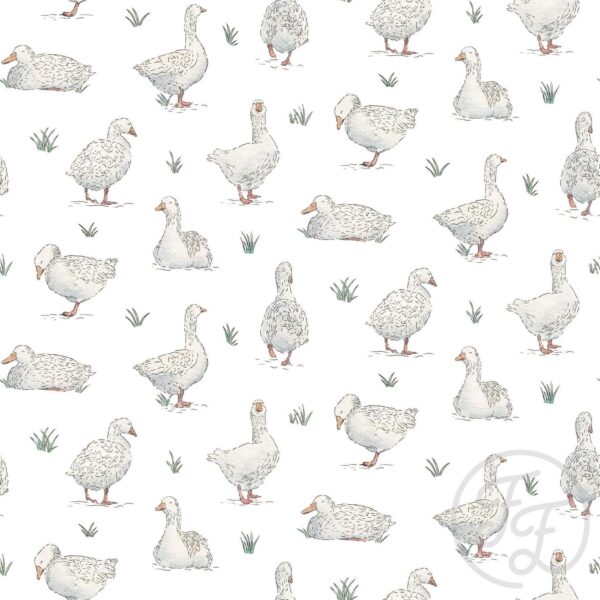 Goose Walking