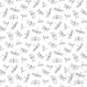 Dragonflies Insects