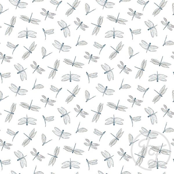 Dragonflies Insects