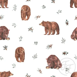 Bears & Leafs (new version Feb23)