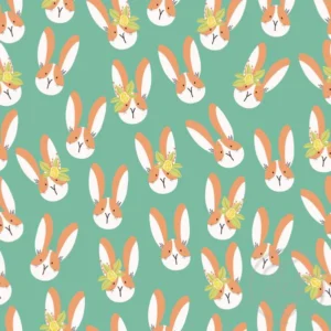Mr & Miss Bunnies