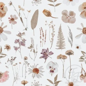 Dry Flowers