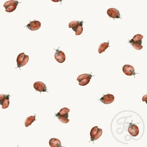 Ladybugs Cecil