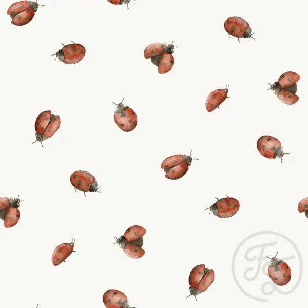 Ladybugs Cecil