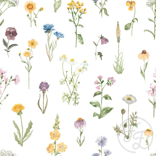 Alpine Flowers