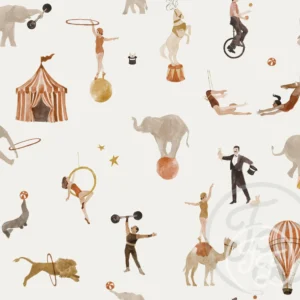 Circus