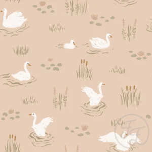 Swans Coral