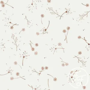 Dandelions White