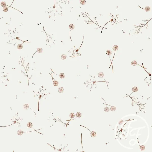 Dandelions White