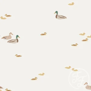 Ducks