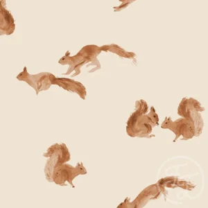 Squirrels