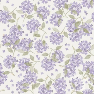 Hortensia Lavender