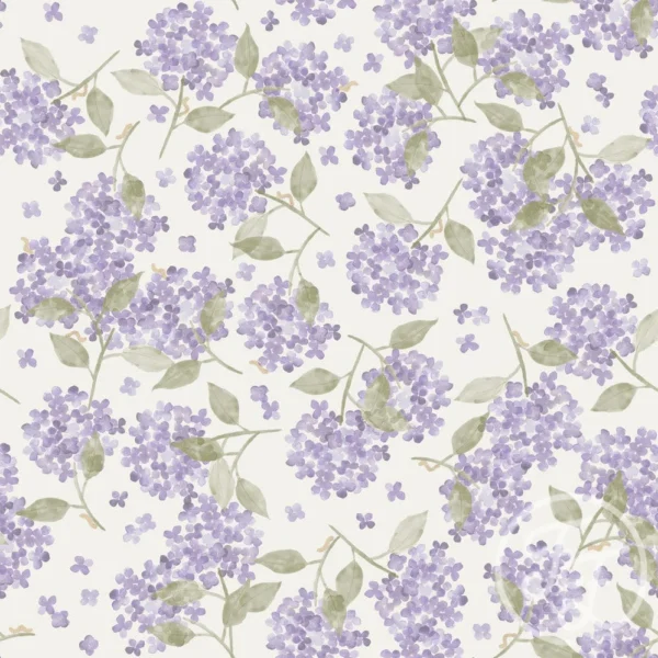 Hortensia Lavender