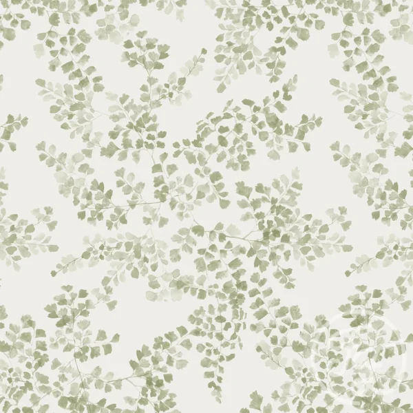 Maidenhair