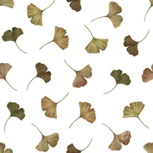 Ginko Leaves